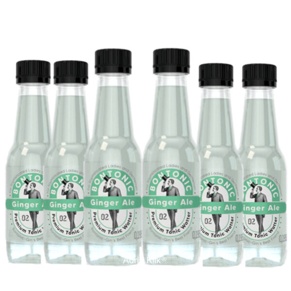 Premium Tonic Water Ginger Ale 0,195 l X 6 kom Bontonic